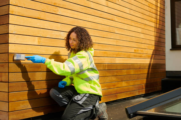 Best Siding Painting and Refinishing  in Bethany, WV